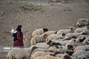 مرمت و بهسازی ۶۵ کیلومتر از ایل راه های گیلان/ دسترسی ۲۷۵ خانوار عشایر به آب شرب