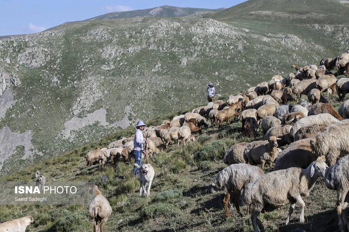 مرمت و بهسازی ۶۵ کیلومتر از ایل راه های گیلان/ دسترسی ۲۷۵ خانوار عشایر به آب شرب