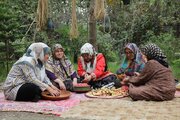 برگزاری کارگاه تخصصی فروش آنلاین محصولات تولیدی زنان روستایی و عشایری گیلان
