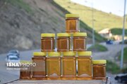 فعالیت ۴۰۰۰ زنبورستان در گیلان/ افزایش تولید در فرآورده‌های کندو
