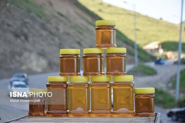 فعالیت ۴۰۰۰ زنبورستان در گیلان/ افزایش تولید در فرآورده‌های کندو