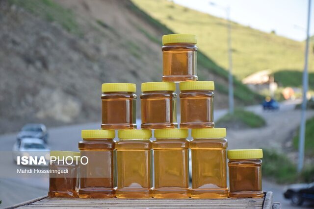 فعالیت ۴۰۰۰ زنبورستان در گیلان/ افزایش تولید در فرآورده‌های کندو