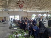 ۱۲ پروژه توسعه شبکه برق در بندرانزلی به بهره‌برداری رسید