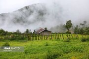 بارش ۶۶ میلی متری در سیاهکل/ تداوم بارش های رگباری تا فردا