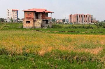 صیانت از اراضی کشاورزی گیلان در فرآیند تدوین و بازنگری طرح‌های هادی