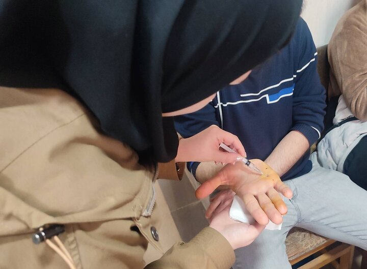 ثبت ۱۷۷۱ مورد حیوانگزیدگی در بندرانزلی/ هشدار نسبت به خطرات غذا دادن و نوازش حیوانات