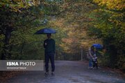 ثبت بارش ۸۴ میلی متری در رضوانشهر/ ماندگاری هوای خنک