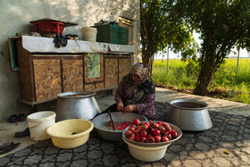 برداشت و پخت رب انار در باغات دهستان یساقی گلستان