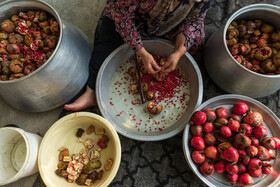 برداشت و پخت رب انار در باغات دهستان یساقی گلستان