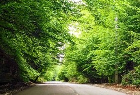 پیشگیری از قاچاق چوب با پایش تصویری پارک‌جنگلی کردکوی