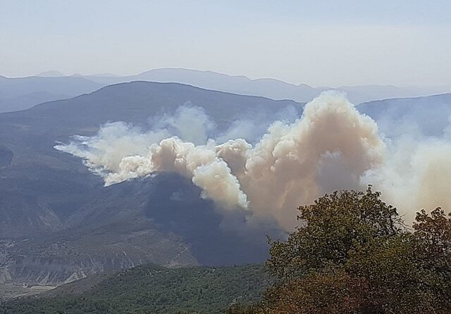 ورود دستگاه قضایی به آتش سوزی جنگل های کردکوی