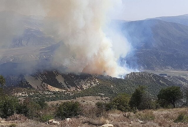 آخرین جزئیات آتش‌سوزی در ارتفاعات کردکوی