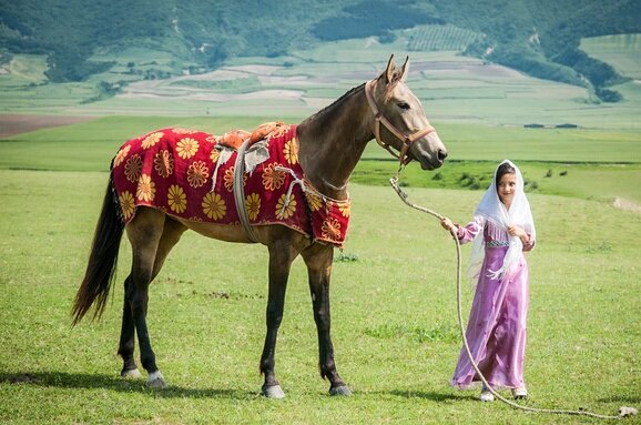 آغاز پانزدهمین جشنواره اسب اصیل ترکمن در کلاله - ایسنا