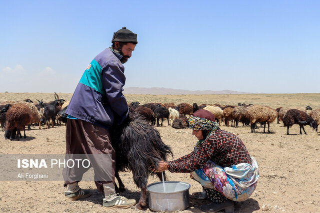 آیین سنتی «واداش» روستاهای منطقه شاهکوه گرگان