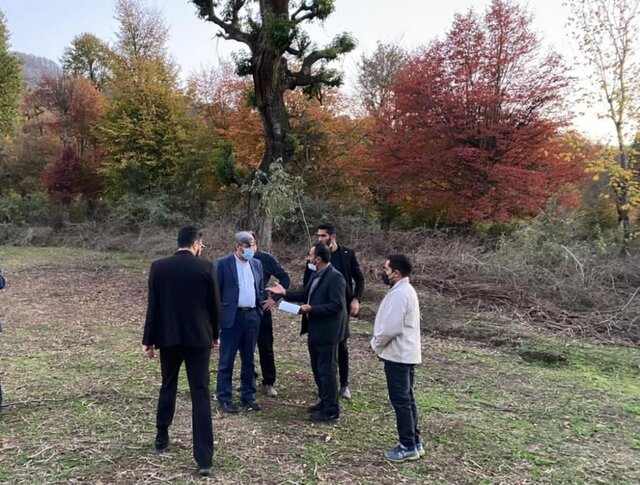 ورود دادستانی به موضوع جنگل خواری در شهرستان گرگان ورود دادستانی به موضوع جنگل خواری در شهرستان گرگان
