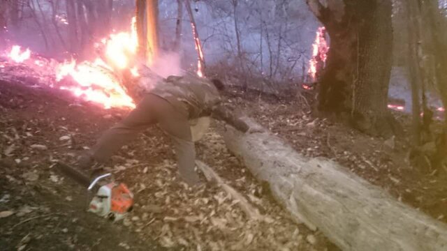 آخرین جزئیات آتش سوزی در جنگل های گلستان/ وقوع پنجمین حریق در پارک ملی گلستان آخرین جزئیات آتش سوزی در جنگل های گلستان/ وقوع پنجمین حریق در پارک ملی گلستان