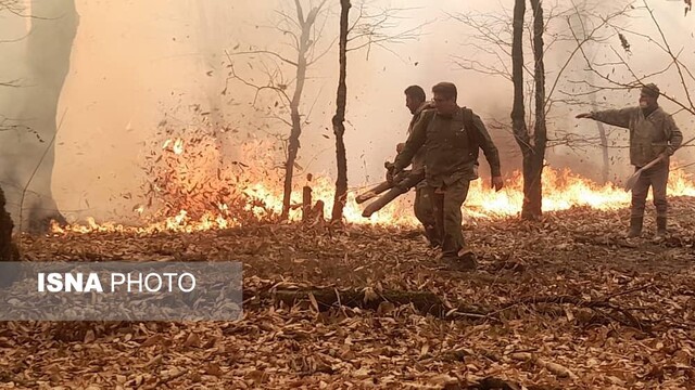 آخرین وضعیت آتش سوزی در جنگل های گلستان آخرین وضعیت آتش سوزی در جنگل های گلستان