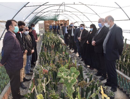 گلخانه تخصصی کاکتوسهای زینتی دانشگاه منابع طبیعی گرگان افتتاح شد  گلخانه تخصصی کاکتوسهای زینتی دانشگاه منابع طبیعی گرگان افتتاح شد