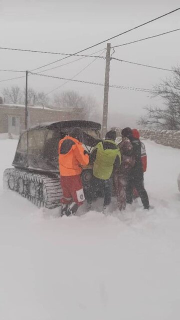 آرگو جان مادر باردار گلستانی را نجات داد