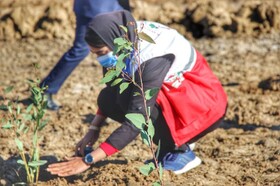 اجرای پویش مردمی «ایران سبز»/ هر جوان گلستانی یک نهال درخت