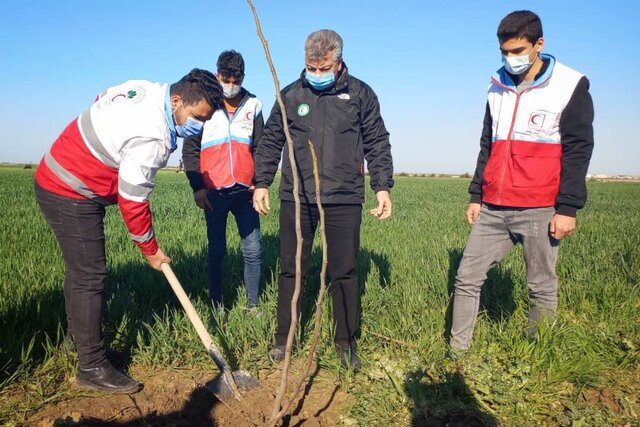 اجرای پویش مردمی «ایران سبز»/ هر جوان گلستانی یک نهال درخت