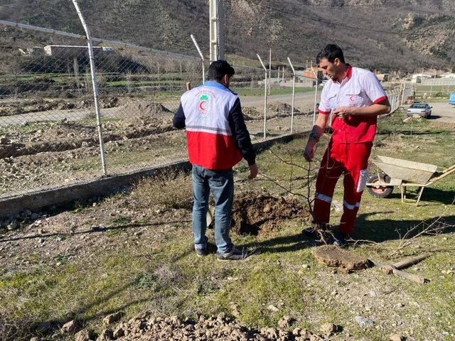 اجرای پویش مردمی «ایران سبز»/ هر جوان گلستانی یک نهال درخت