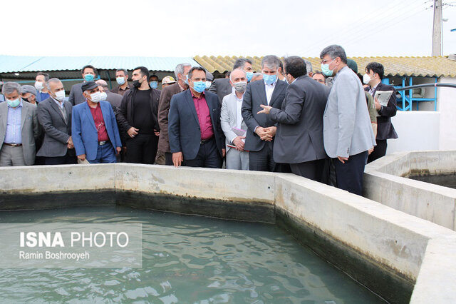 وزیر جهاد کشاورزی در بندرگز و کردکوی