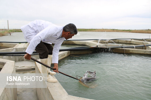 وزیر جهاد کشاورزی در بندرگز و کردکوی