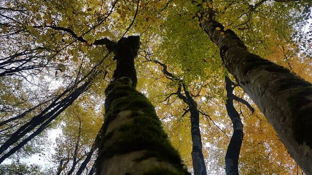 گلستان مقصد گردشگری اوراسیا / از بلندترین برج آجری جهان تا دریاچه بنفش و جنگل های نادر هیرکانی 7