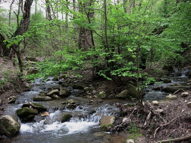 گلستان مقصد گردشگری اوراسیا / از بلندترین برج آجری جهان تا دریاچه بنفش و جنگل های نادر هیرکانی 39