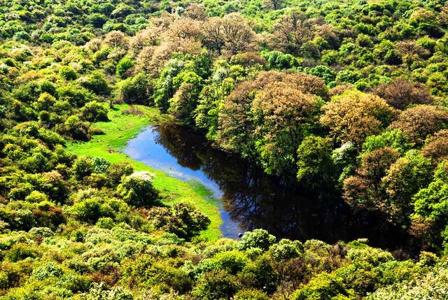 گلستان مقصد گردشگری اوراسیا/ از بلندترین برج آجری جهان تا جنگلهای نادر هیرکانی