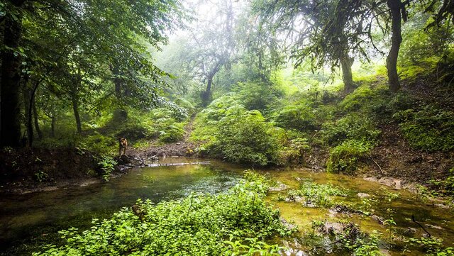 گلستان مقصد گردشگری اوراسیا / از بلندترین برج آجری جهان تا دریاچه بنفش و جنگل های نادر هیرکانی 30