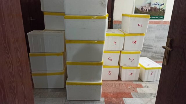 کشف ۵۰۰ کیلوگرم قارچ ترافل در  ایست بازرسی تیل آباد