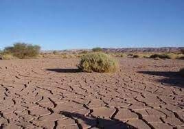 ۱۲۷ هزار هکتار از اراضی شمالی گلستان منشأ گردوغبار است/ توسعه بیابان‌زدایی و احیای مراتع