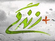 فعالیت ۱۰۵ مرکز مثبت زندگی و ۸۶ مؤسسه غیردولتی در لرستان
