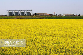 کسی حق ندارد تعرفه برای صادرات محصولات کشاورزی وضع کند