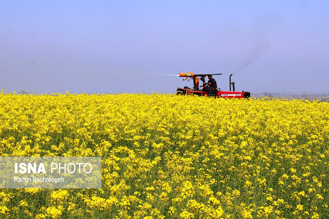 غفلت صنعت کشاورزی گلستان از بازارهای جهانی