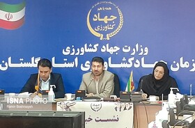 صدور مجوز کشاورزی بی‌نام برای جذب سرمایه گذار/ برپایی شهرک تخصصی کشاورزی در گلستان