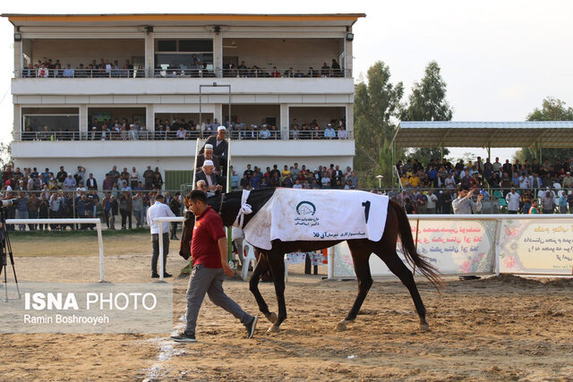 کورس سوارکاری آققلا