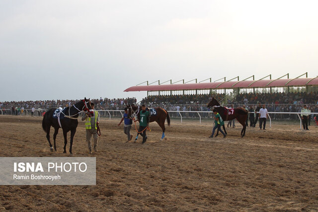 کورس سوارکاری آققلا