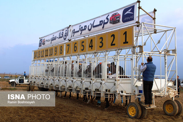 کورس سوارکاری آققلا