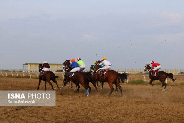 کورس سوارکاری آققلا