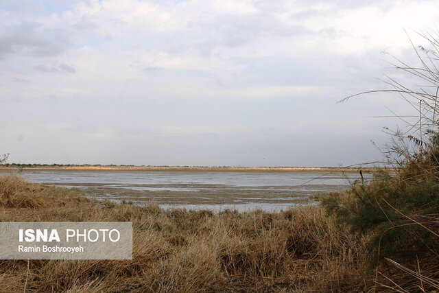 تالاب آلماگل نگین مهاجرت پرندگان