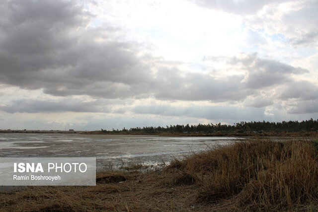 تالاب آلماگل نگین مهاجرت پرندگان