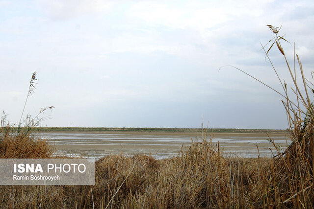 تالاب آلماگل نگین مهاجرت پرندگان