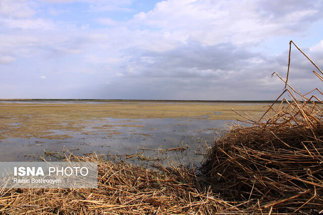 تالاب آلماگل نگین مهاجرت پرندگان