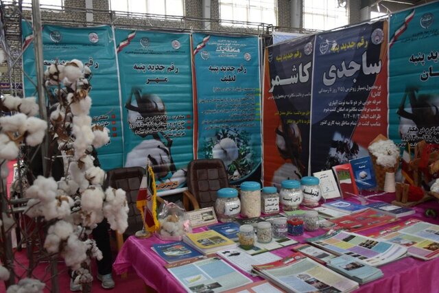 دست خالی فناوران گلستانی از نمایشگاه پژوهش/ دردی که باز هم بیشتر شد