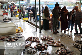 واپسین روزهای پاییز و رونق بازار ماهی فروشان بندرترکمن