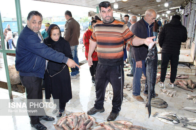 واپسین روزهای پاییز و رونق بازار ماهی فروشان بندرترکمن