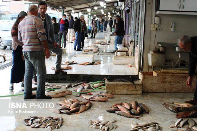 گزارش تصویری جالب از رونق بازار ماهی فروشان بندرترکمن واپسین روزهای پاییز و رونق بازار ماهی فروشان بندرترکمن